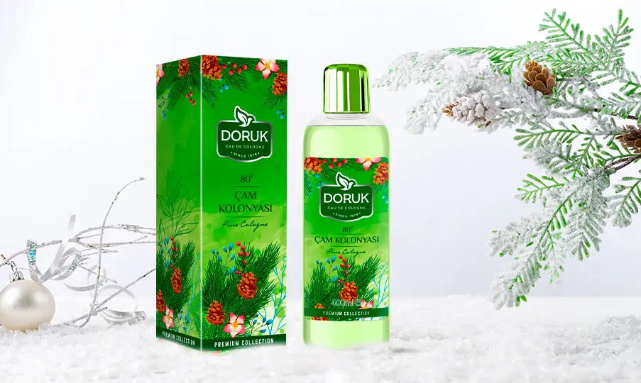 Doruk Dökme Çam Kolonyası