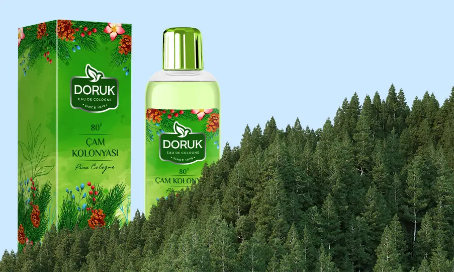 Doruk Dökme Çam Kolonyası