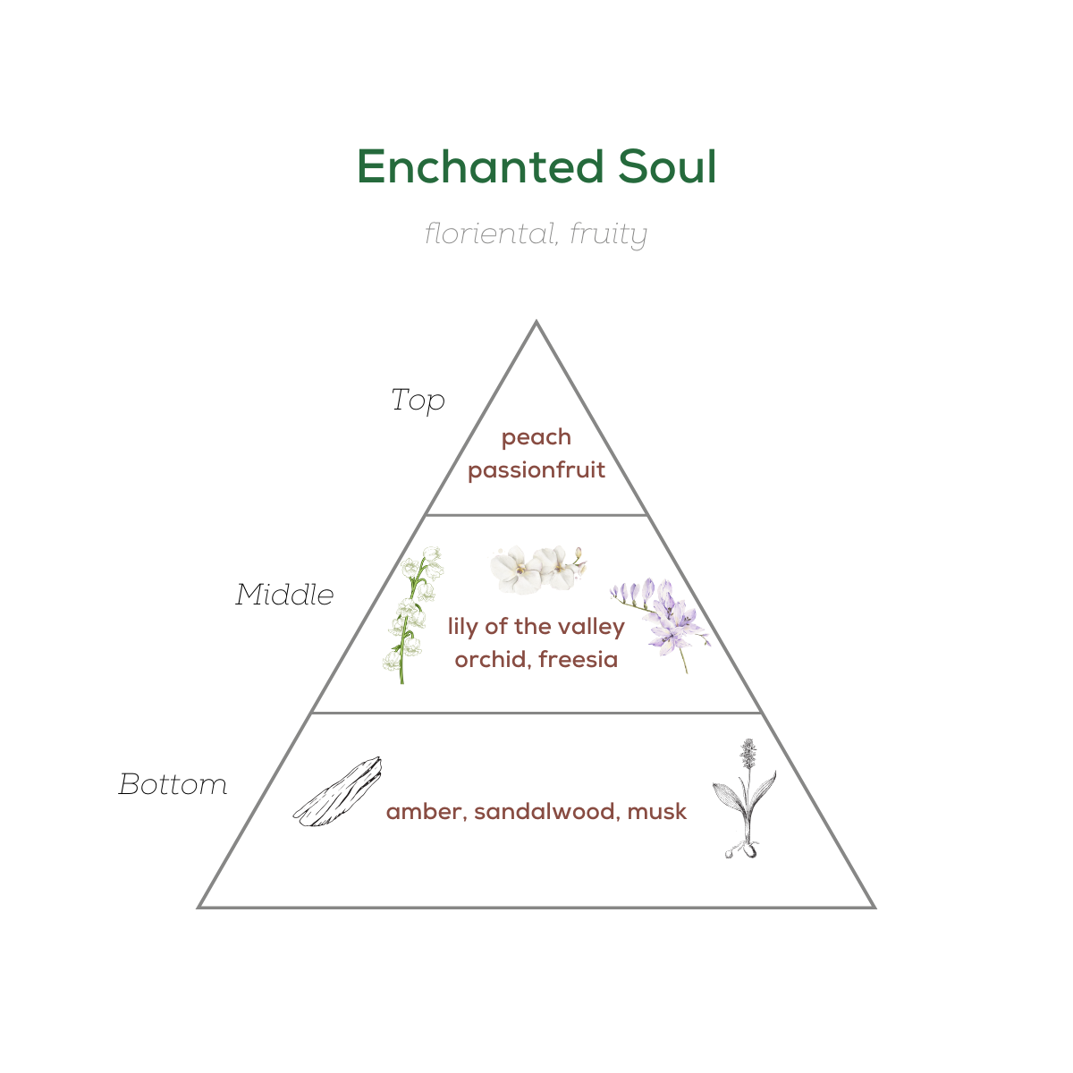 OJIJO LONDON Enchanted Soul Unisex Parfüm EDP 100 ML - Görsel 5