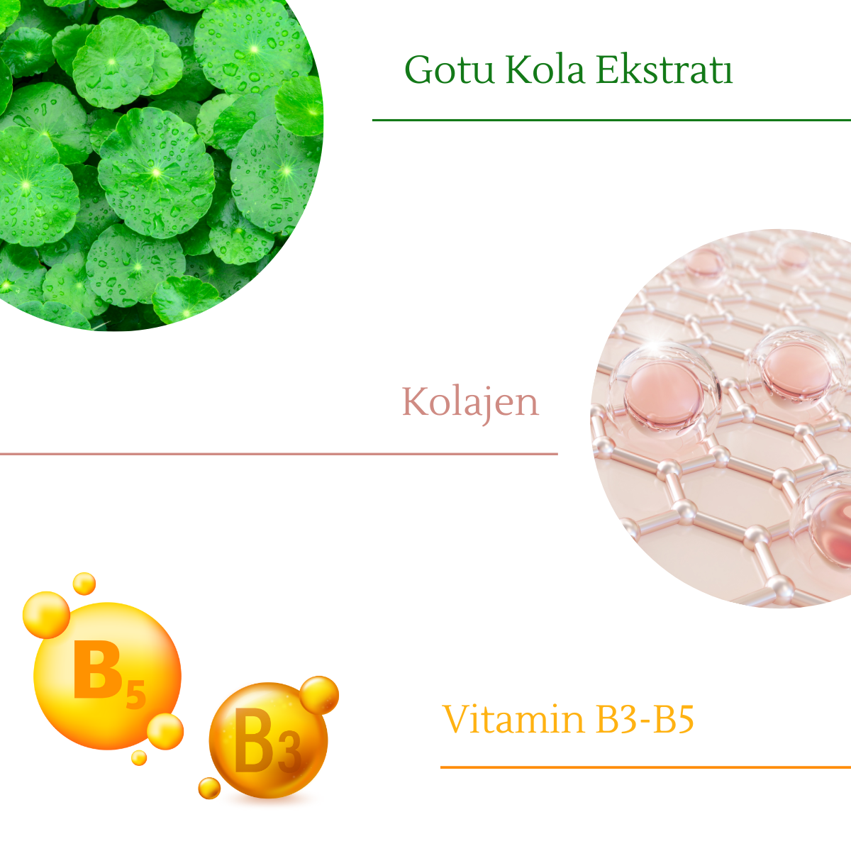 OJIJO LONDON Kırışıklık Karşıtı ve Elastikiyeti Destekleyen Kolajen Serum Seti 5 * 5 ml Flakon Ampul 25 ml - Görsel 7