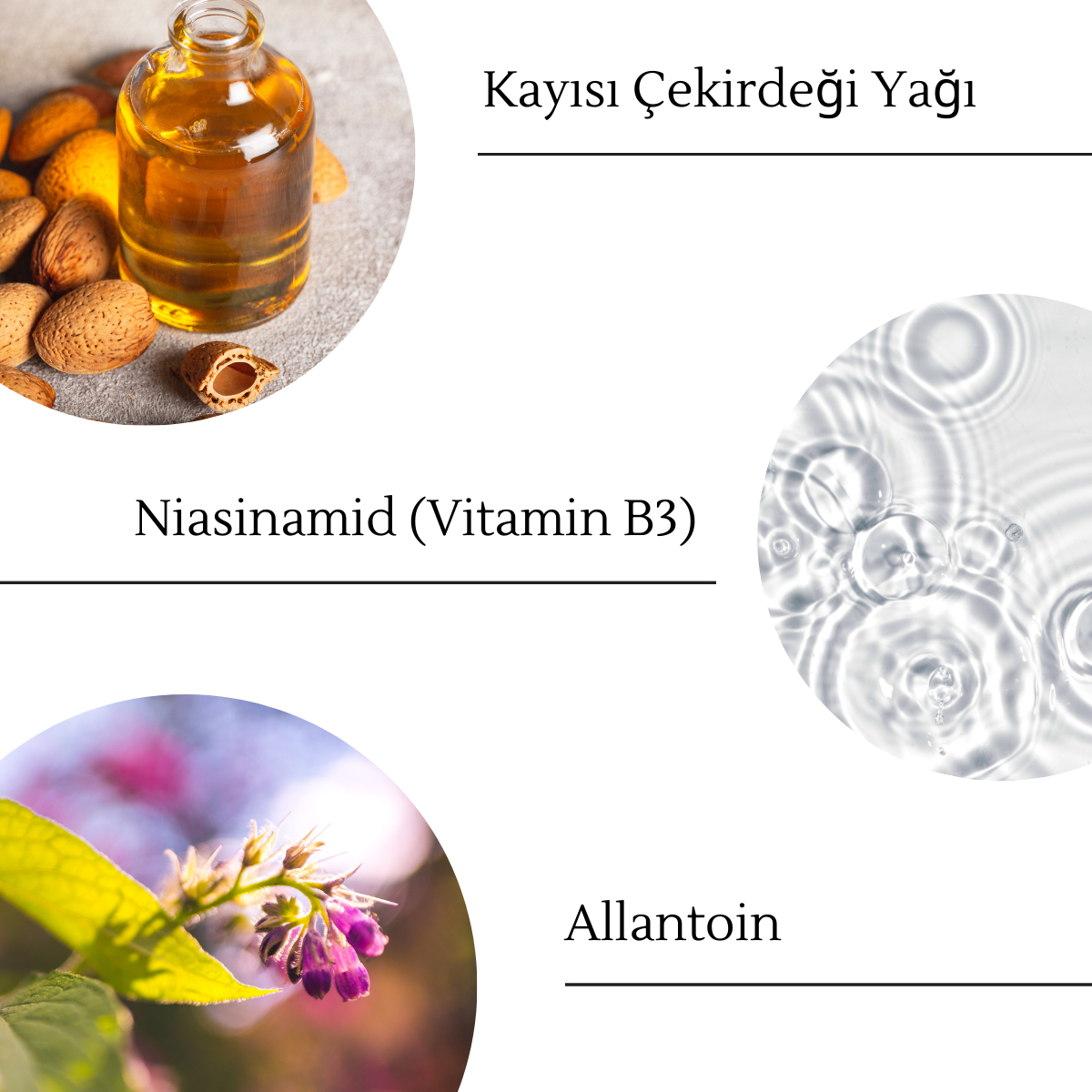 OJIJO LONDON Tüm Cilt Tipleri için Besleyici Gündüz Nemlendirici Krem 50 ml - Görsel 5