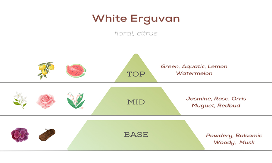 OJIJO LONDON White Erguvan Kolonya 50 ml 80 Derece Parfümlü Kolonya – Cam Şişe