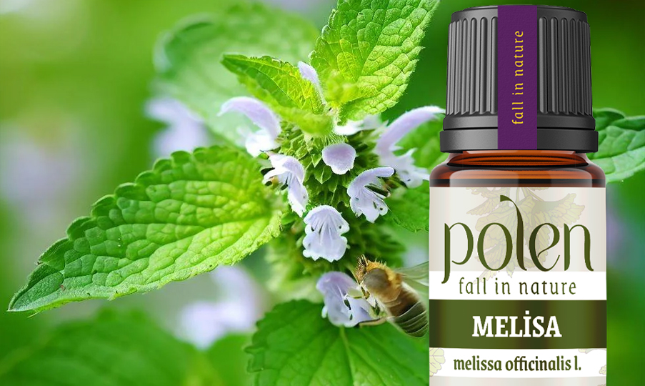 Polen %100 Saf Melisa Uçucu Yağı 10 ml