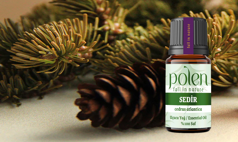 Polen %100 Saf Sedir Ağacı Uçucu Yağı 10 ml